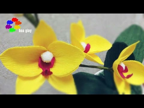 Cách làm hoa Lan Hồ Điệp bằng giấy nhún - How to make Orchid paper [hoagiayshop.com] | Foci