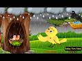 Rano Chidiya Wala Cartoon | Rano Chidiya |31-3-2026 |कार्टून चिड़िया |Cartoon Birds Dekhao|Chichu TV