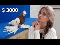 Я дала за $10,000 долларов! Двухчубые голуби. Tauben. Pigeons. Palomas. Pombos. 비둘기.