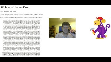 Has this 500 Internal Server Error ever happened to you but this time with a monkey mechanic?