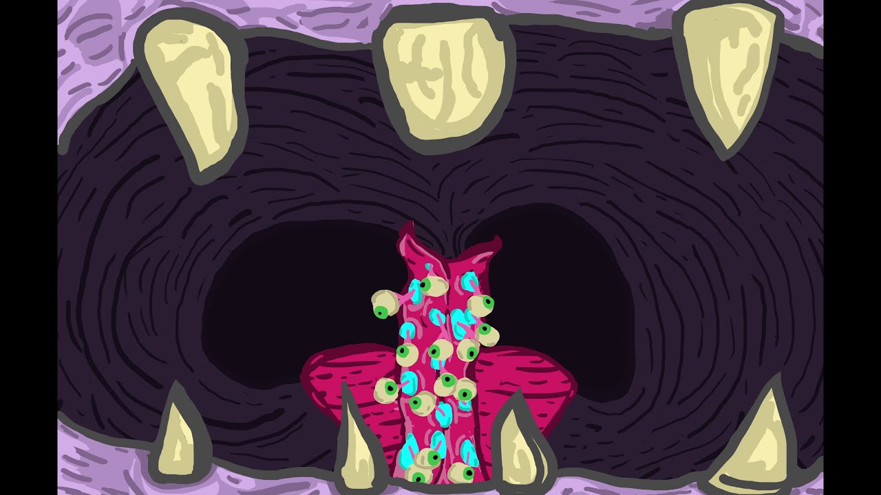 Lapdogs - Teeth (loops)