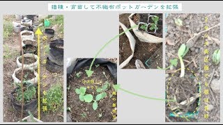 20180416 不織布ポットガーデンを拡張