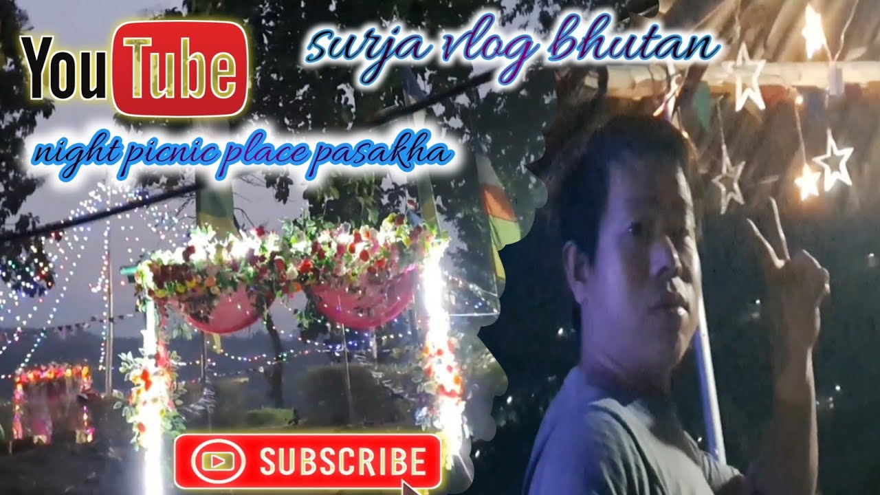 Picnic place at Night | lighting colorfull video | surja vlog bhutan 