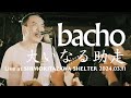 bacho - 大いなる助走【 Live at 東京・下北沢SHELTER 2024.03.11 / 1MAN 2DAYS "出航" 】