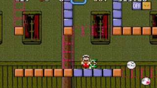 Quest in the Mushroom Kingdom - Forest Ghost House