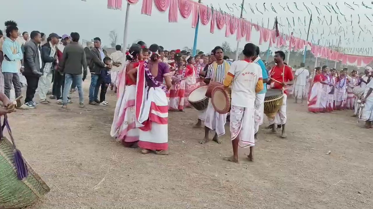 Judi Mag Buru Susun . Judi Potka . Bhumij Vlogger 