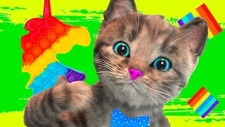 CUTE LITTLE KITTEN ADVENTURE - PET CARE AND SUPER CAT CARTOON STORY AND CAT VIDEOS by Animated Kitten Adventure 16,972 views 2 weeks ago 47 minutes