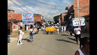 Liberan palomas como símbolo de paz durante sepelio de María del Pilar Hurtado en Cauca Liberan palomas como símbolo de paz durante sepelio de María del Pilar Hurtado en Cauca