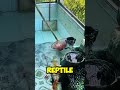 He Found a Snake Living in His Fish Tank 🐍😱 #snake #fish #tank #snakes #animals
