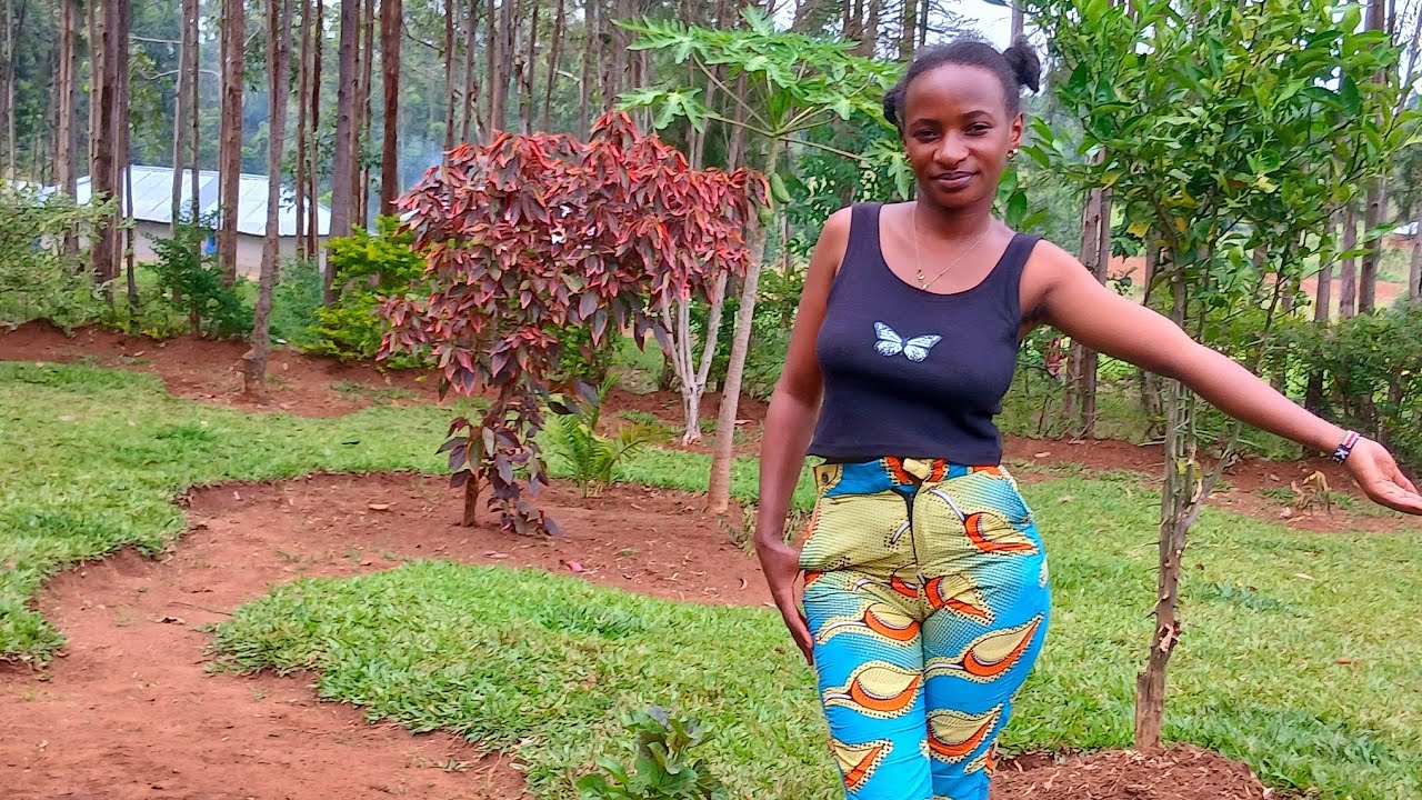 A RANDOM DAY IN THE VILLLAGE