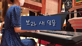 보라 새 일을 (분당우리교회ver) - 이길로