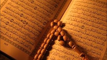 الشيخ ابراهيم الزيات سورة القلم