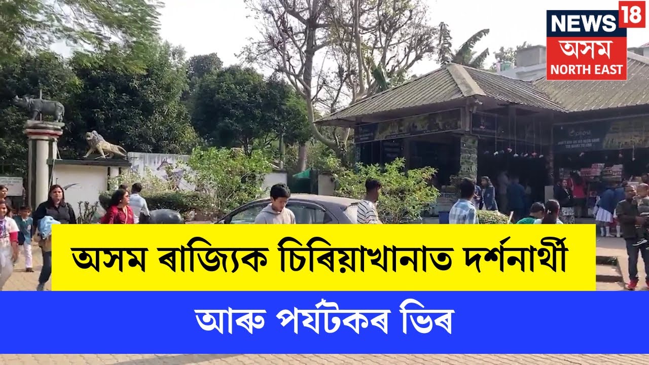 Guwahati Zoo : অসম ৰাজ্যিক চিৰিয়াখানাত দৰ্শনাৰ্থী আৰু পৰ্যটকৰ ভিৰ | N18V
