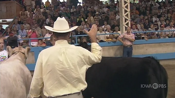 Fast Forward Flashback: Grand Champion Slaps | Cel...
