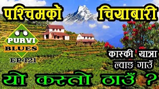 पश्चिमकै ठूलो चियाबारी भेटियो । ल्वाङ गाउँ कास्की | Lwang Village Kaski || Top Homestay of Nepal