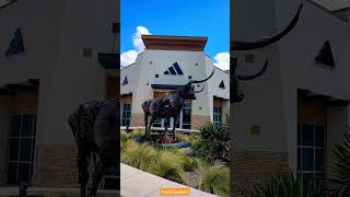 Lets Get It Started -