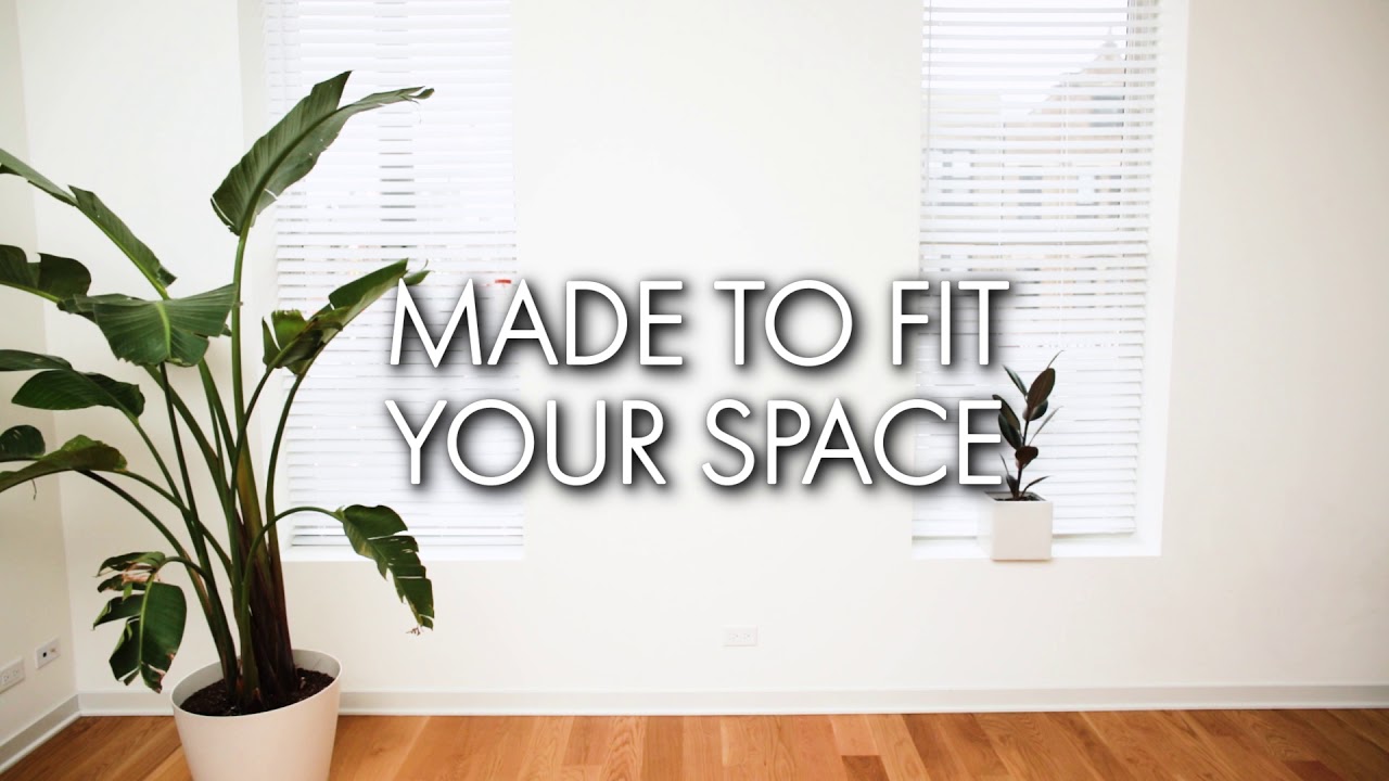 Join the Cat Matter Launch