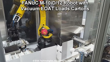Auto-Bottom Cartoner for Pouches with Robotic Collation and Loading