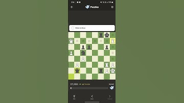 #Chess Puzzles #Puzzle Solved 499