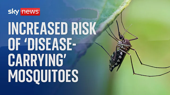 Long and hot summers raise risk of mosquitoes carrying 'fatal diseases' - DayDayNews