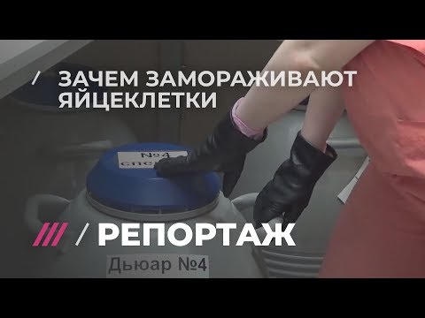 Родить можно в любом возрасте: почему все больше людей замораживают яйцеклетки