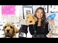 HUGE PUPPY HAUL 2022 | we&#39;re getting a cockapoo | puppy essentials | Muy Eve #puppyhaul