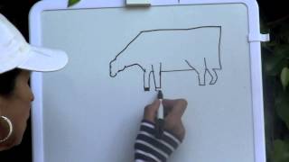 LEARN the SHAPES drawing Farm Animals Step-by-Step - Circle, Square, Triangle  (K-3)