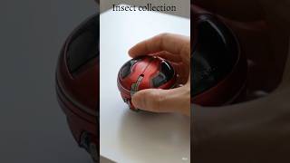 InsectCollection#mechanic#transformer#hobby#collection #robot #transformers #miniature