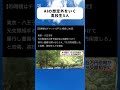 #政治 #政治ニュース #自民党 #高市早苗