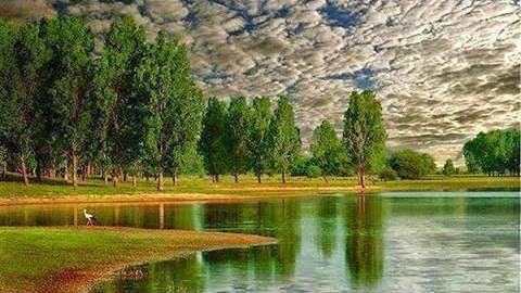 سورة الشعراء بصوت اسلام صبحي تلاوة رائعة surat shuaraa islam sobhii
