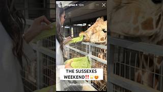 Download Lagu MEGHAN SUSSEX SHARES SWEET FAMILY MOMENTS FEATURING PRINCE HARRY ARCHIE \u0026 LILIBET | SO CUTE‼️🥰😍 MP3