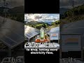 Battery-Free Artificial Photosynthesis Turns Sunlight Into Fuel ☀️