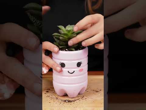 You'll never throw away a plastic bottle again! 勞