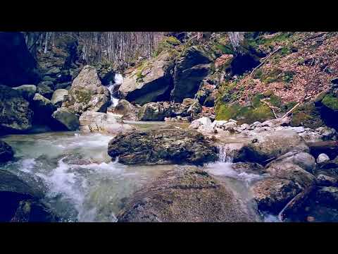 آيات من الذكر الحكيم مقتطفات من سورة الواقعة القارئ عمر الحجي