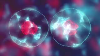 CodeRed Title Sequence Wealth