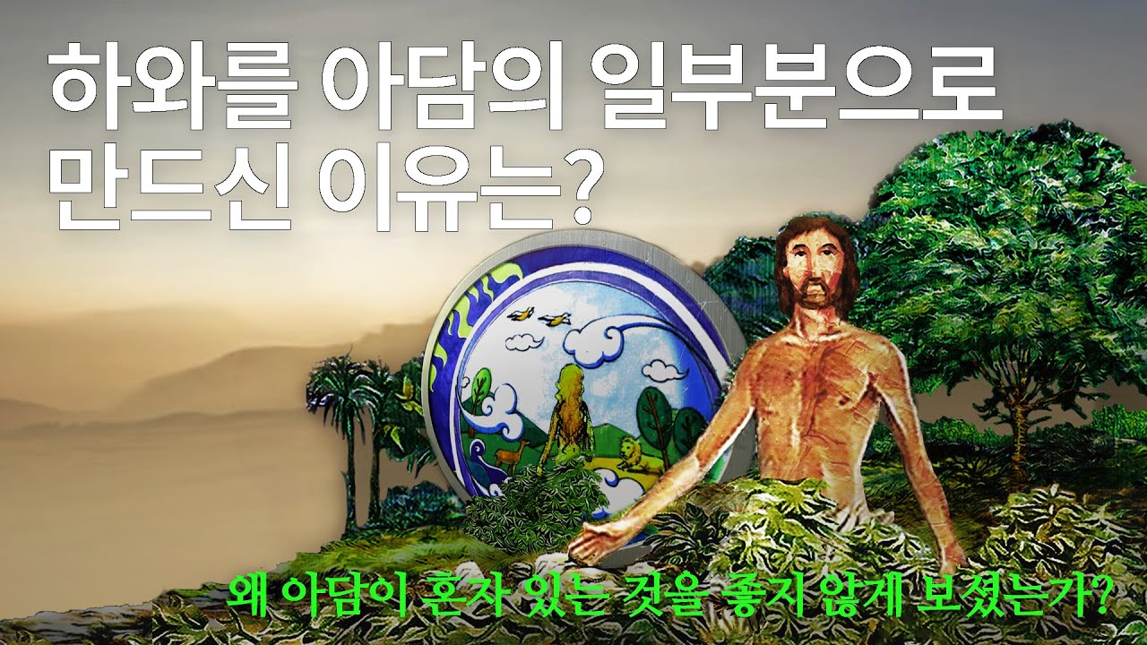 Q7)하와를 아담의 일부분으로 만드신 이유는? 왜 아담이 혼자 있는 것을 좋지 않게 보셨는가? 창세기 2장 [나도 성경을 마음에 ...
