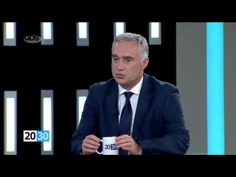 ზვიად ძიძიგური, პარლამენტის ვიცესპიკერი /2030 (01.06.2016.)/