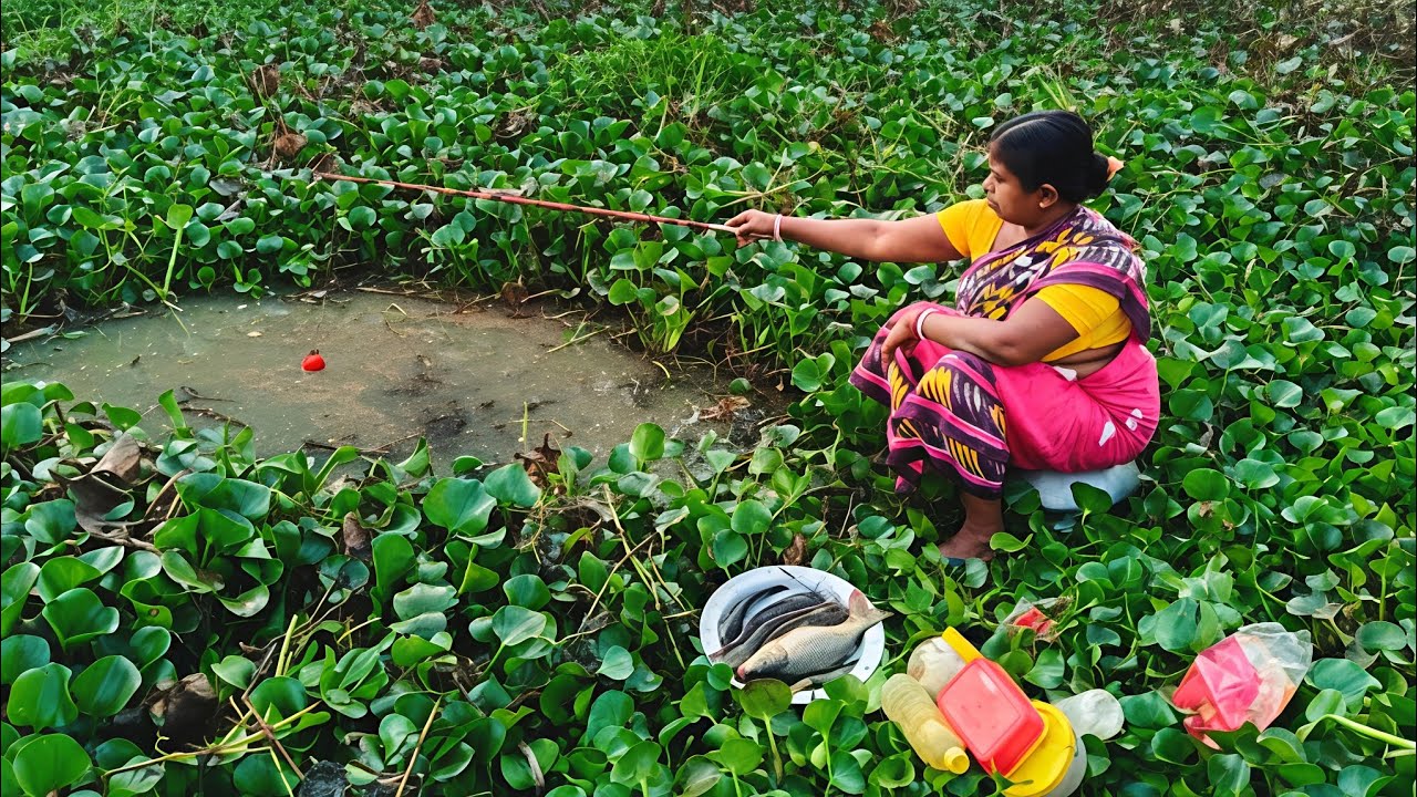 FISHING VIDEO 🎣🐠 || I was Amazing by the fishing skills of the Beautiful woman || Hook fishing 