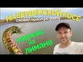 Лиманский червяк для пиленгаса. Рыбалка на бердянской косе 22.08.2020