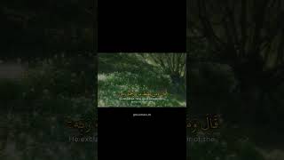 Surah Al-Hijr | v. 55-56 | Beautiful Recitation | #quran #beautifulrecitation #qurantilawat