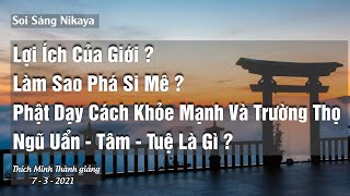 Soi Sáng NIKAYA _ Lợi Ích Của Giới ? Phá Si Mê _ Cách Ăn Khỏe Mạnh Và Trường Thọ _ Tâm - Tuệ Là Gì?