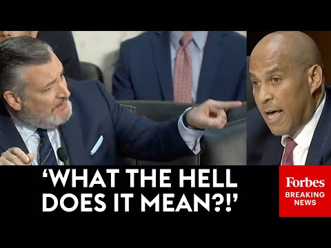 'I Found Sen. Booker's Questioning Really Bizarre': Ted Cruz Rips Dem Senator During Patel Hearing