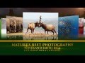 Nature's Best Photography Windland Smith Rice 2011 Awards