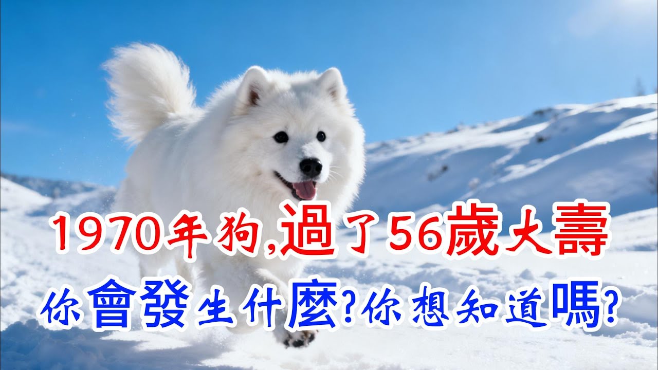 1970年屬狗人，56歲後『真實宿命』曝光！是福狗還是苦狗？答案震撼！