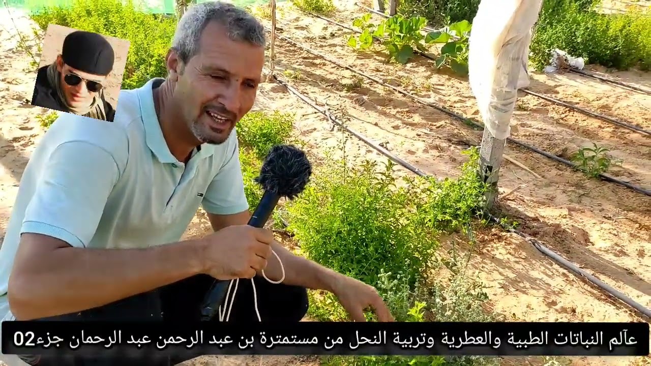 #__من__الجنوب__الجزآئري__ولاية__المنيعة__نموج_نآجح🥀