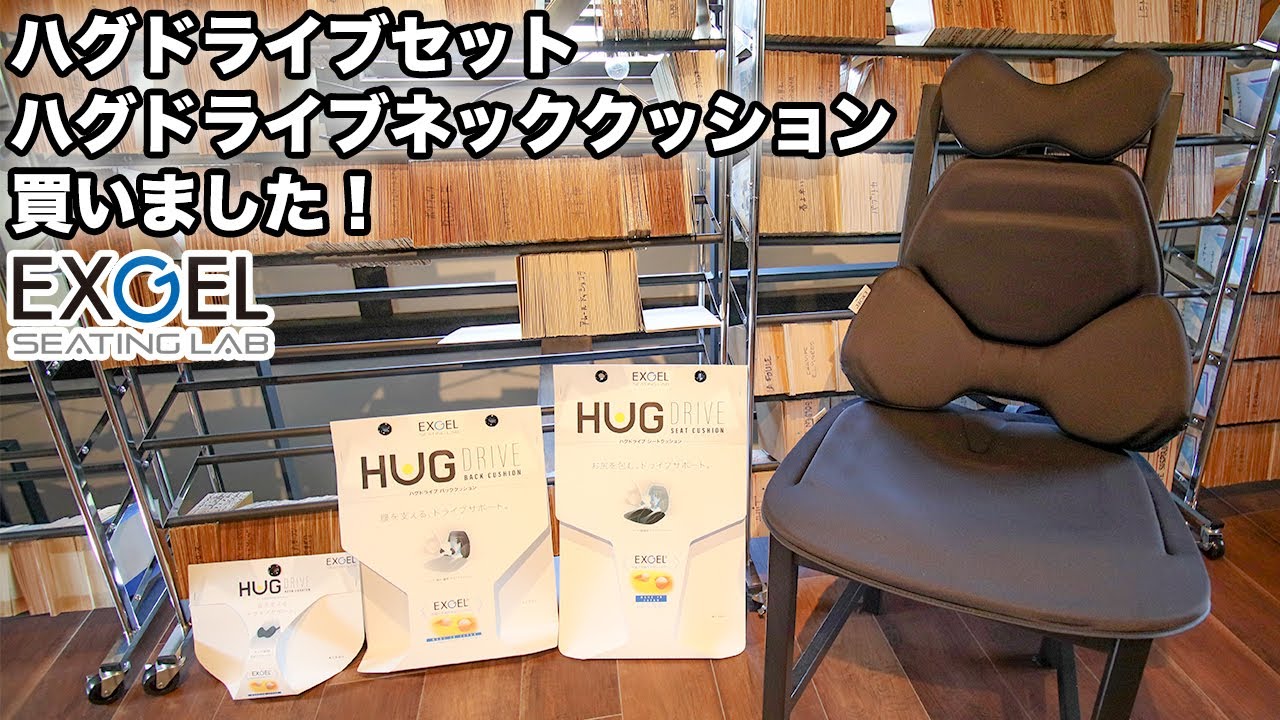 エクスジェル EXGEL ハグドライブ バッククッション ネッククッション