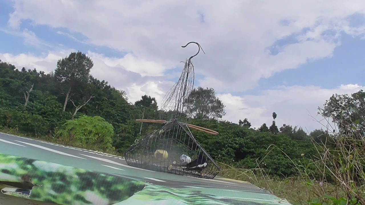 dùng choe than  bẫy  bách  thanh rất  nhạy