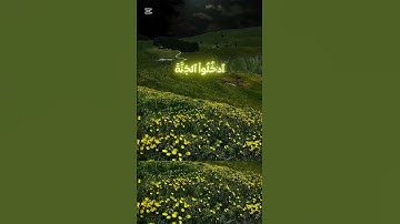القران الكريم #اكسبلور #لايك #المصحف #حالات_واتس #الرحمن