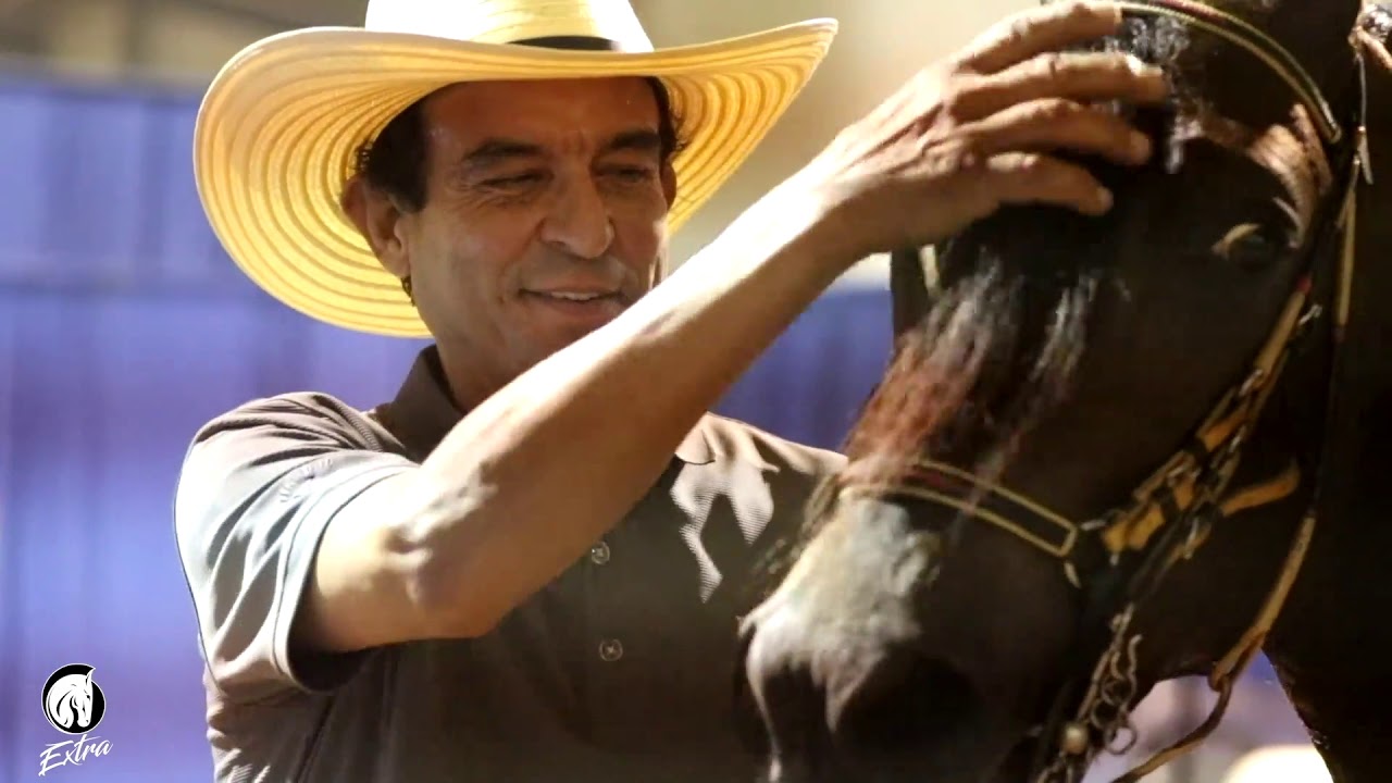 #24 Horse Capital TV Extra - Vivaldi De Besilu