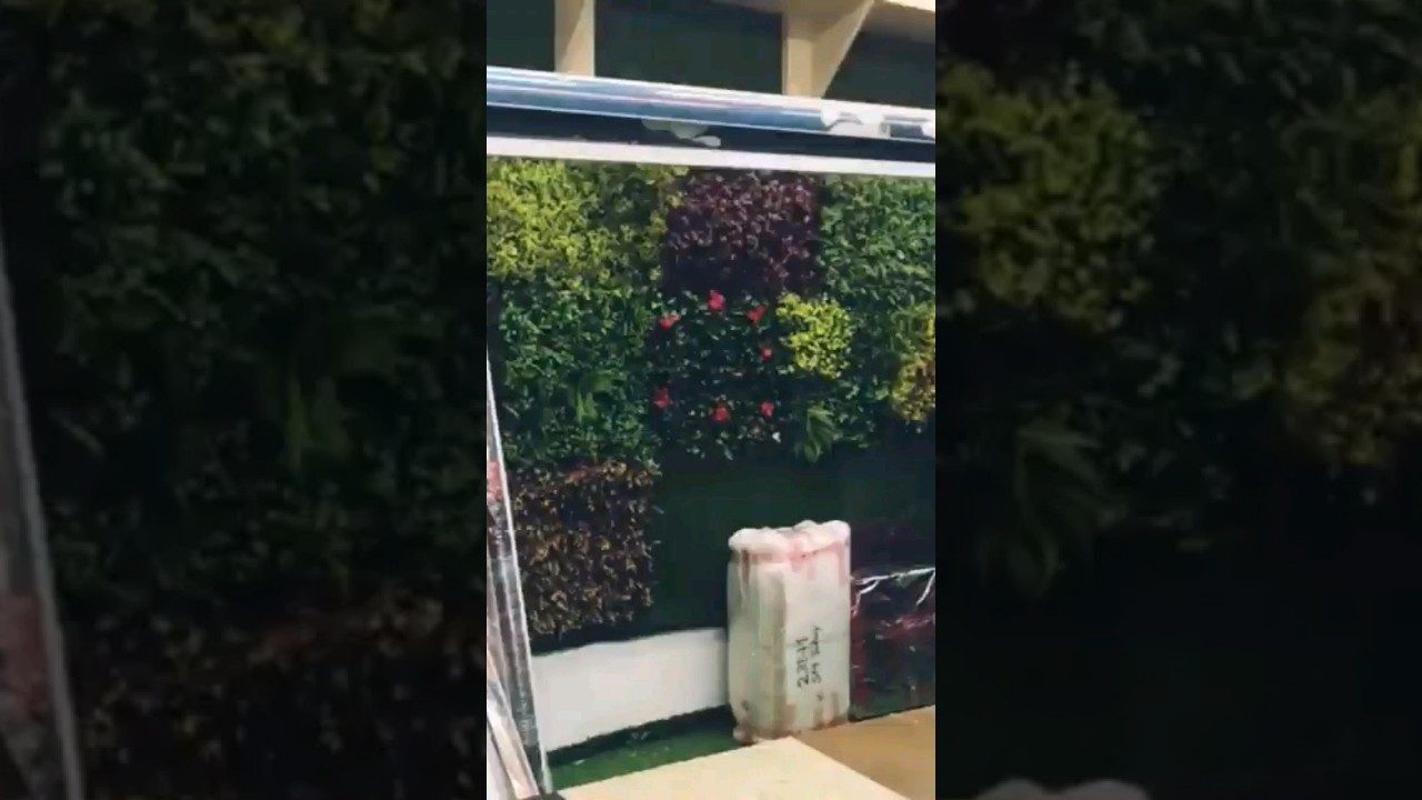 Window Blinds Shop in Noida, Window Blinds Shop Near Me, Window Blinds Shop in Greater Noida